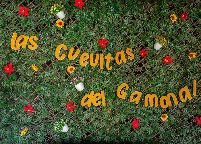 Las Cuevitas del Gamonal Santa Brígida